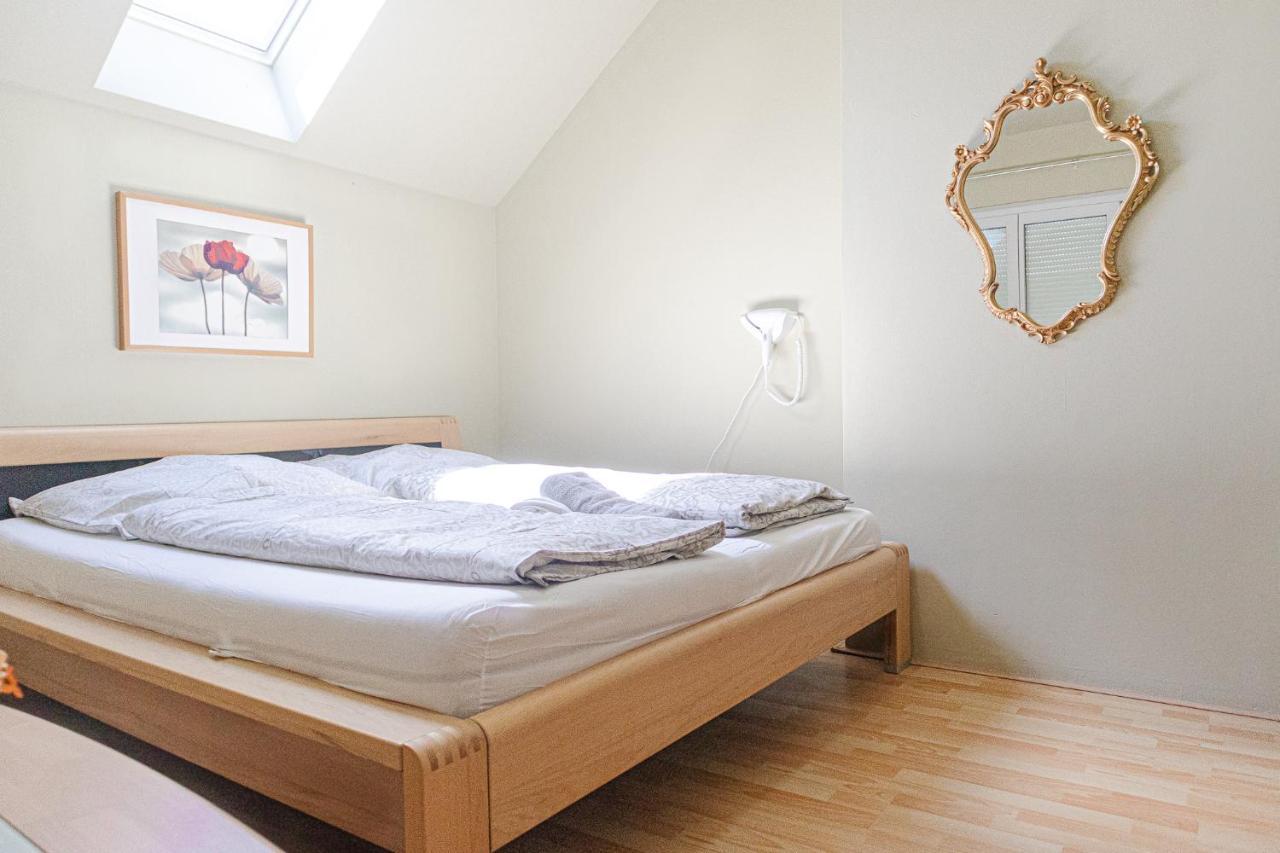 Exquisite Shared - Your Private In Beautiful Appartement Vienne